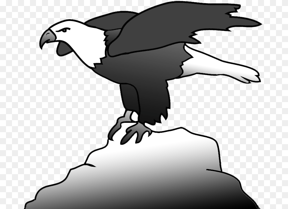 Bald Eagle On A Rock Clipart Bald Eagle, Animal, Bird, Beak, Adult Free Png