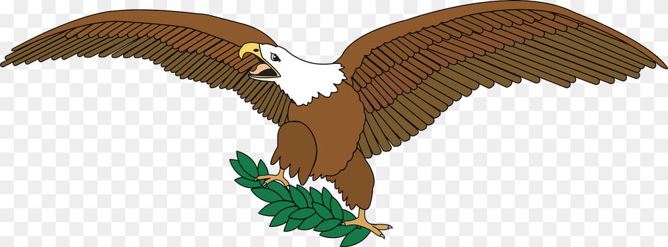 Bald Eagle On Branch Clipart, Animal, Bird, Flying, Bald Eagle Png