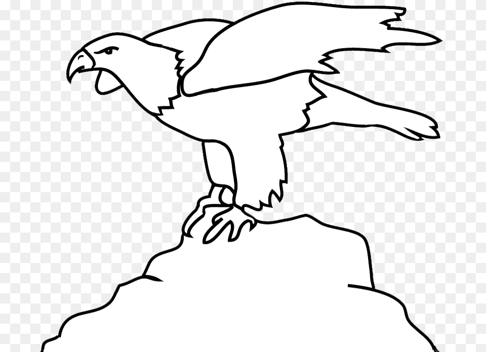 Bald Eagle Outline On Rock Eagle, Animal, Bird, Vulture, Baby Free Png Download