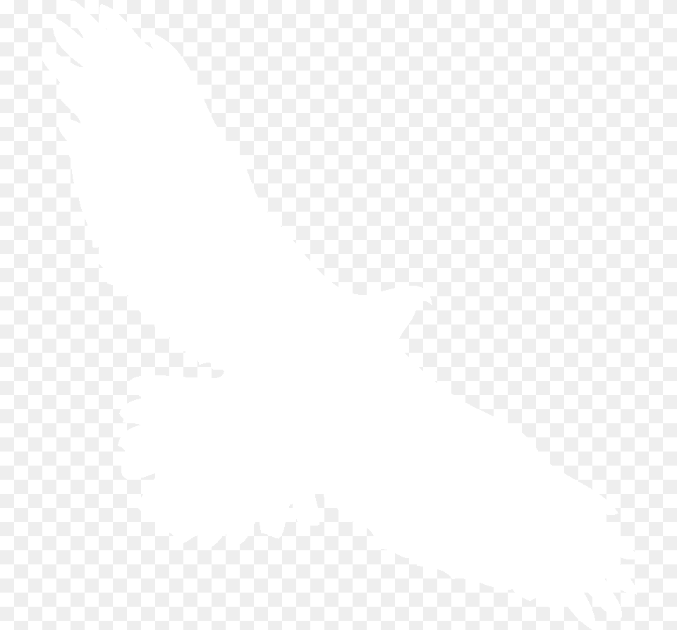 Bald Eagle Overview All About Birds Cornell Lab Of Ornithology Red Tailed Hawk Outline, Silhouette, Person, Animal, Bird Png Image