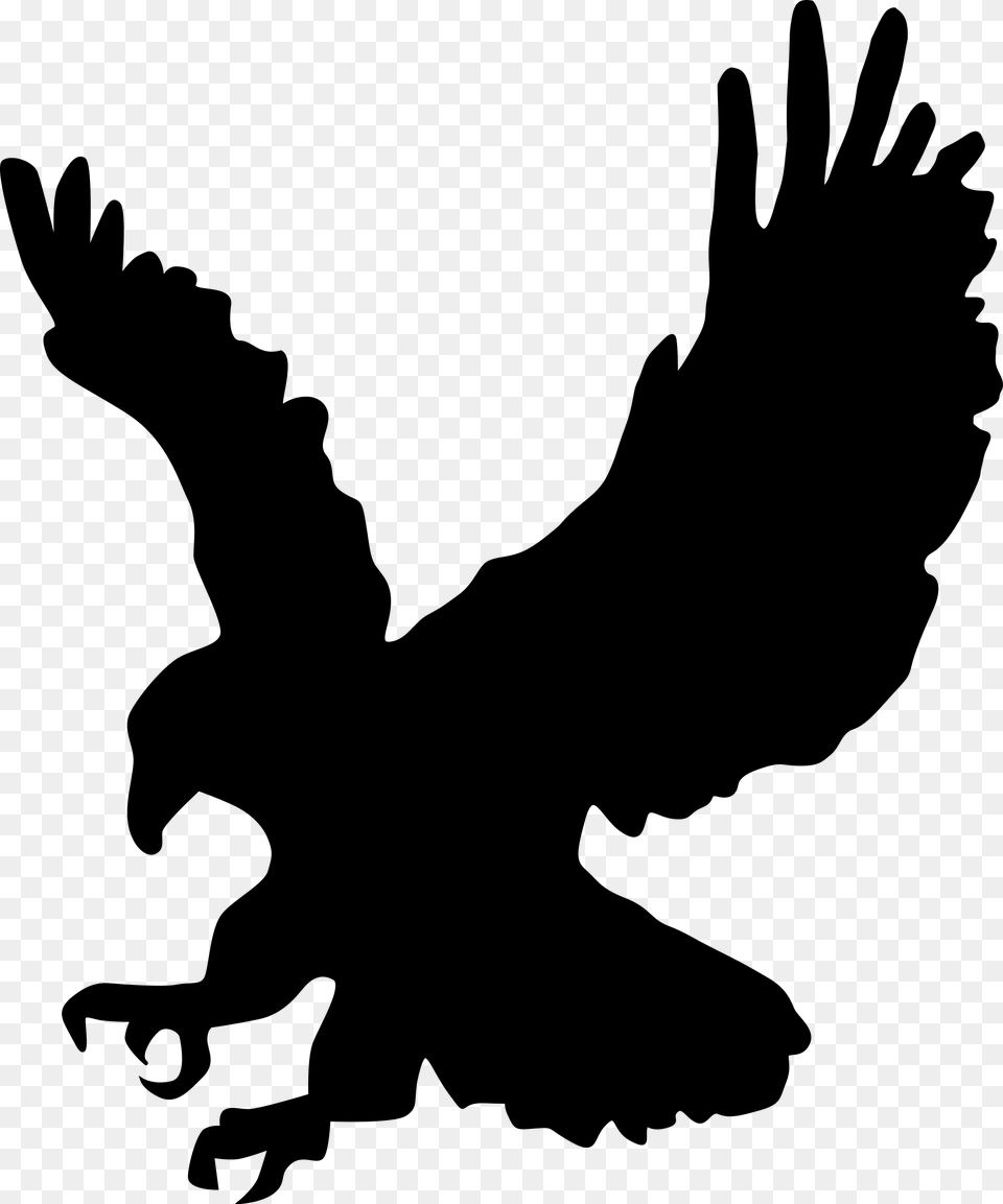 Bald Eagle Silhouette Clip Art Black And White Eagle Clipart, Gray Free Transparent Png