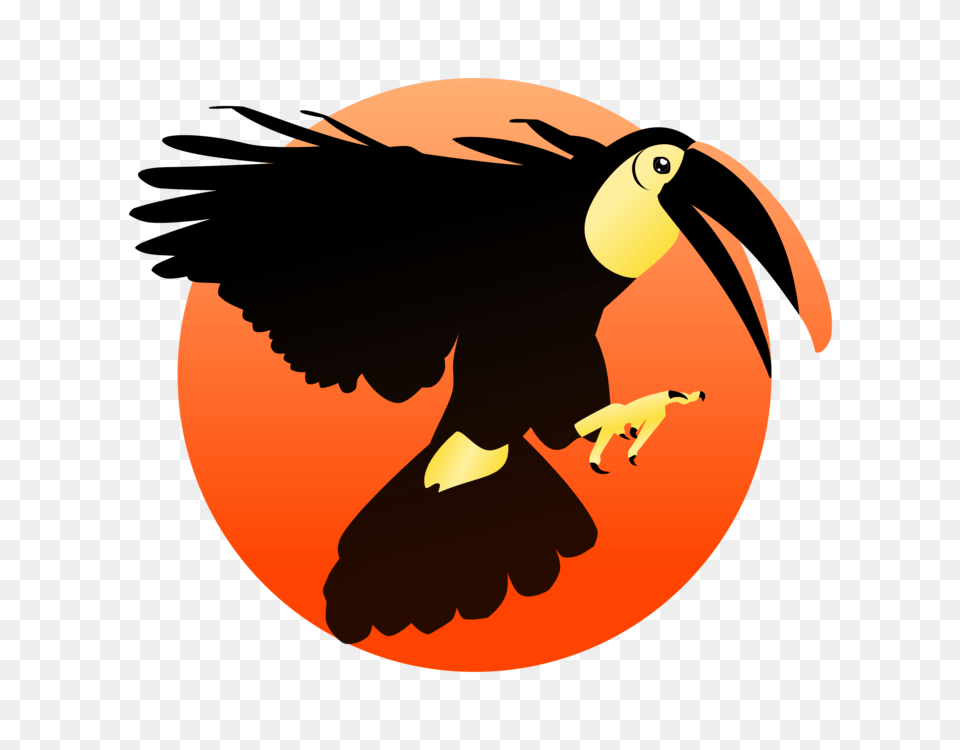 Bald Eagle Toucan Woodpecker Bird Beak, Animal, Person, Face, Head Free Png Download