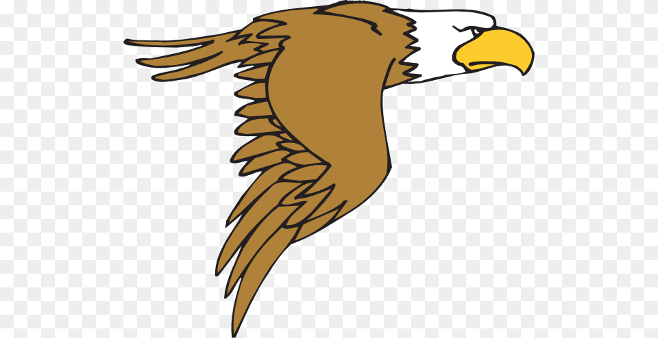 Bald Eagle White Tailed Eagle Drawing Clip Art, Animal, Beak, Bird, Fish Png