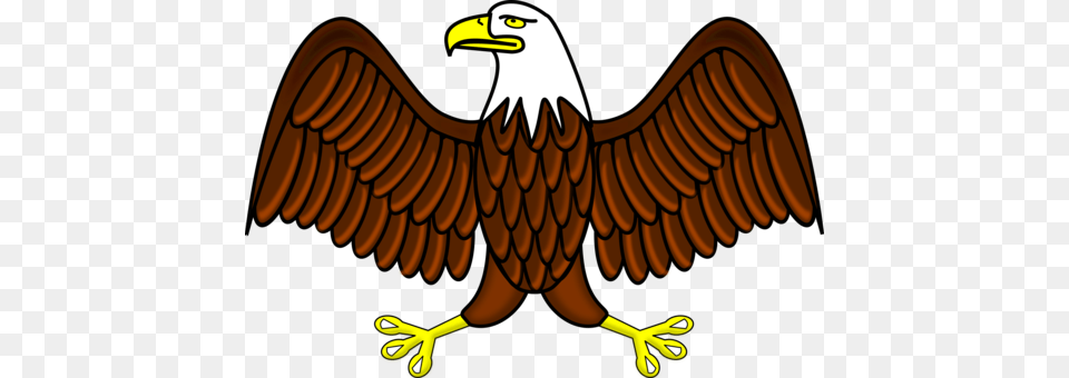 Bald Eagle White Tailed Eagle Flight Download, Animal, Beak, Bird, Bald Eagle Png