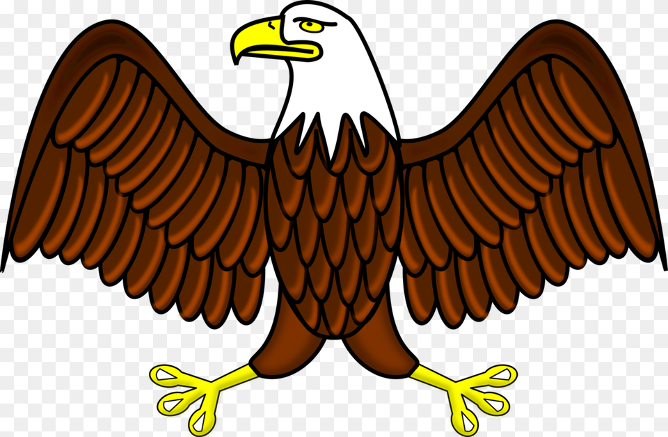 Bald Eagle White Tailed Eagle Philippine Eagle Download, Animal, Beak, Bird, Scissors Free Transparent Png