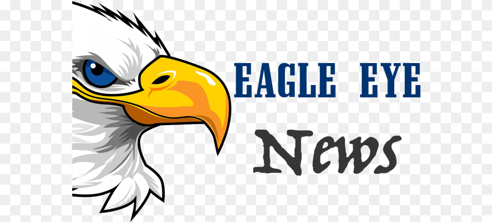 Bald Eye On Dumielauxepices Net Eagle Eye News, Animal, Beak, Bird, Bald Eagle Free Png