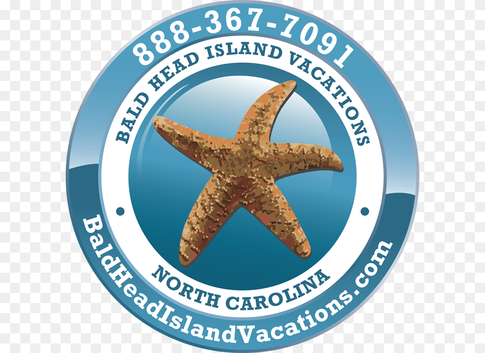 Bald Head Island Vacations Echinoderm, Animal, Invertebrate, Sea Life, Starfish Png