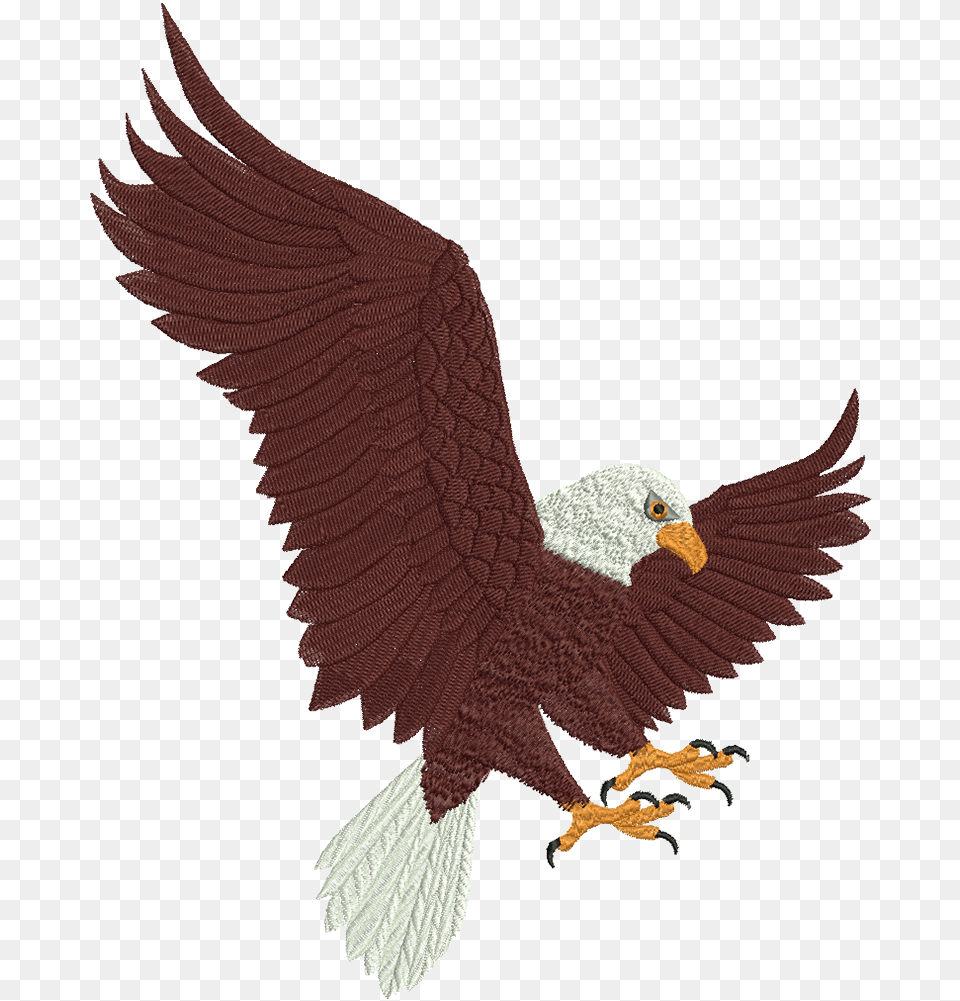 Bald Headed Eagle, Animal, Bird, Bald Eagle Free Png