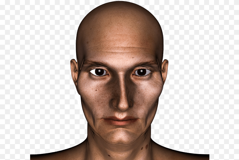 Bald Human, Adult, Face, Head, Male Png