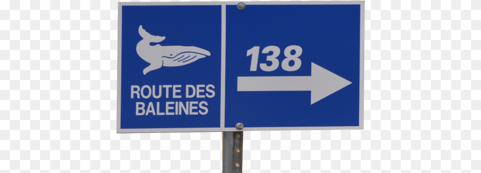 Baleines 2x Traffic Sign, Symbol, Road Sign Free Transparent Png