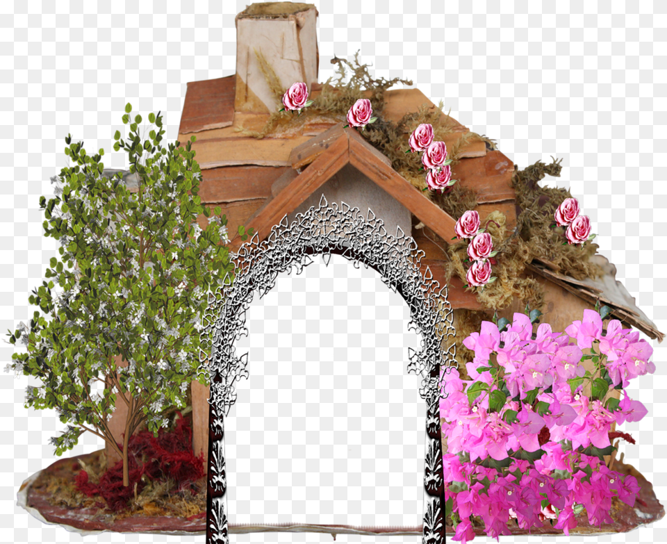 Balkon, Geranium, Plant, Flower, Flower Arrangement Free Transparent Png
