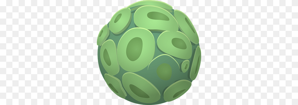Ball Green, Sphere, Disk, Food Png