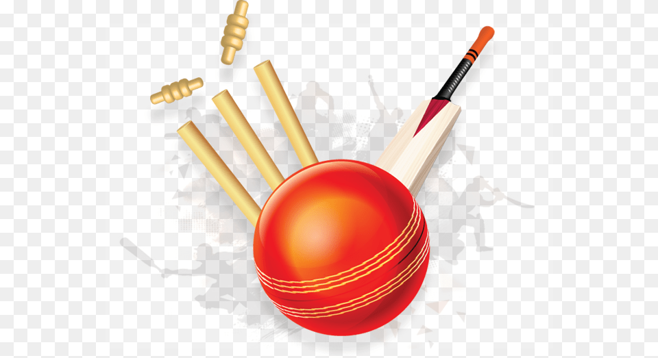 Ball And Bat Transparent Ball And Bat Images, Adult, Male, Man, Person Png Image