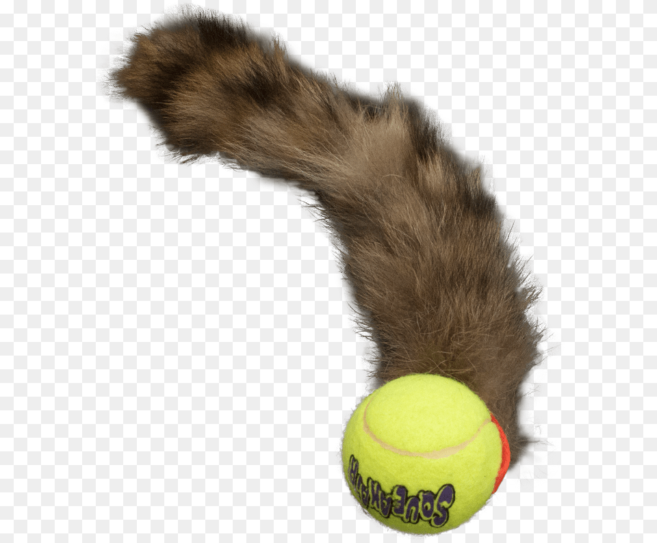 Ball And Tail Toy, Sport, Tennis, Tennis Ball Free Transparent Png