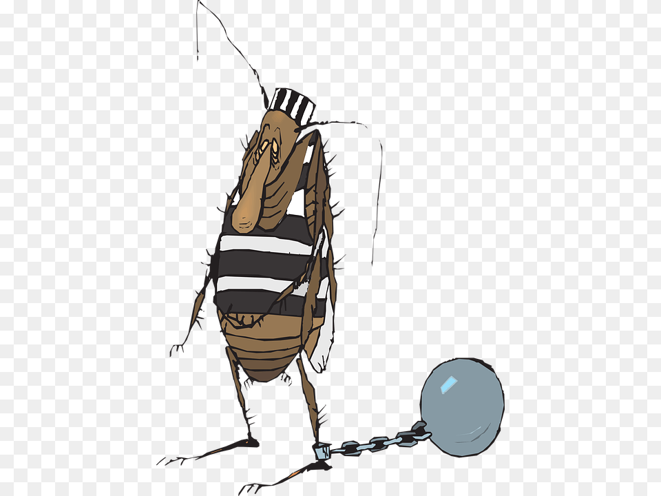 Ball Chain Bug Jail Insect Prisoner Guilty Jail Bug, Glove, Clothing, Sport, Baseball Glove Free Png Download