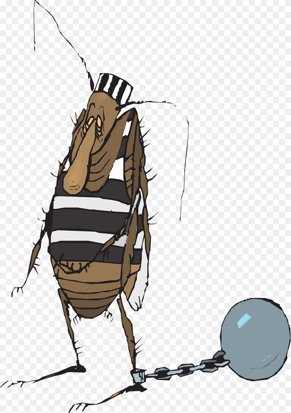 Ball Clipart, Person, Animal, Head Free Png Download