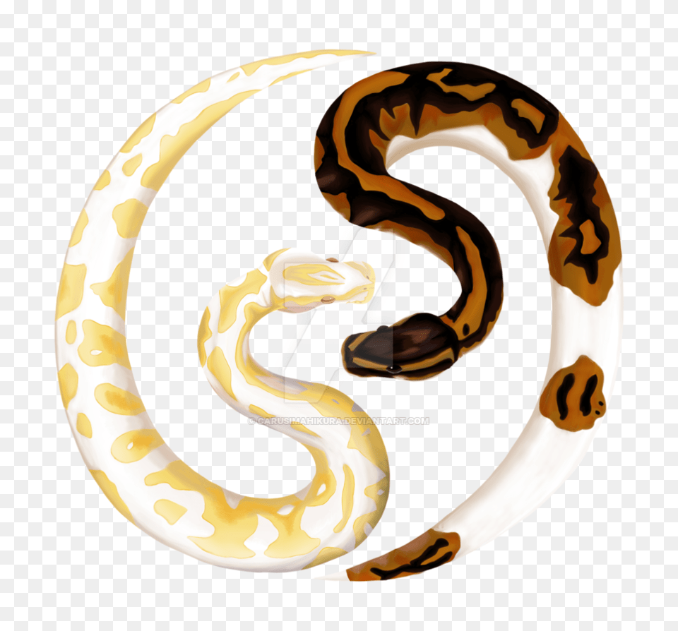 Ball Python Clipart Clip Art Images, Animal, Reptile, Rock Python, Snake Free Png
