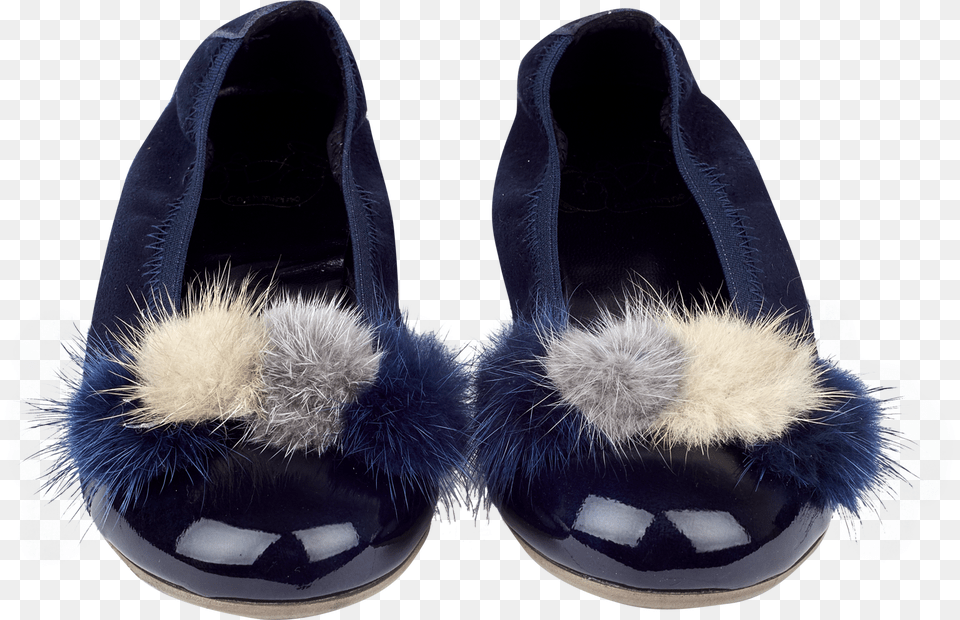 Ballerina Shoes, Clothing, Footwear, Shoe, Accessories Png