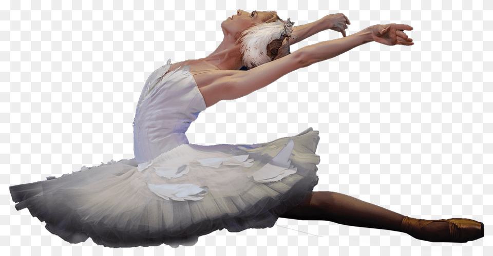 Ballet Dancer, Person, Leisure Activities, Dancing, Adult Free Png Download