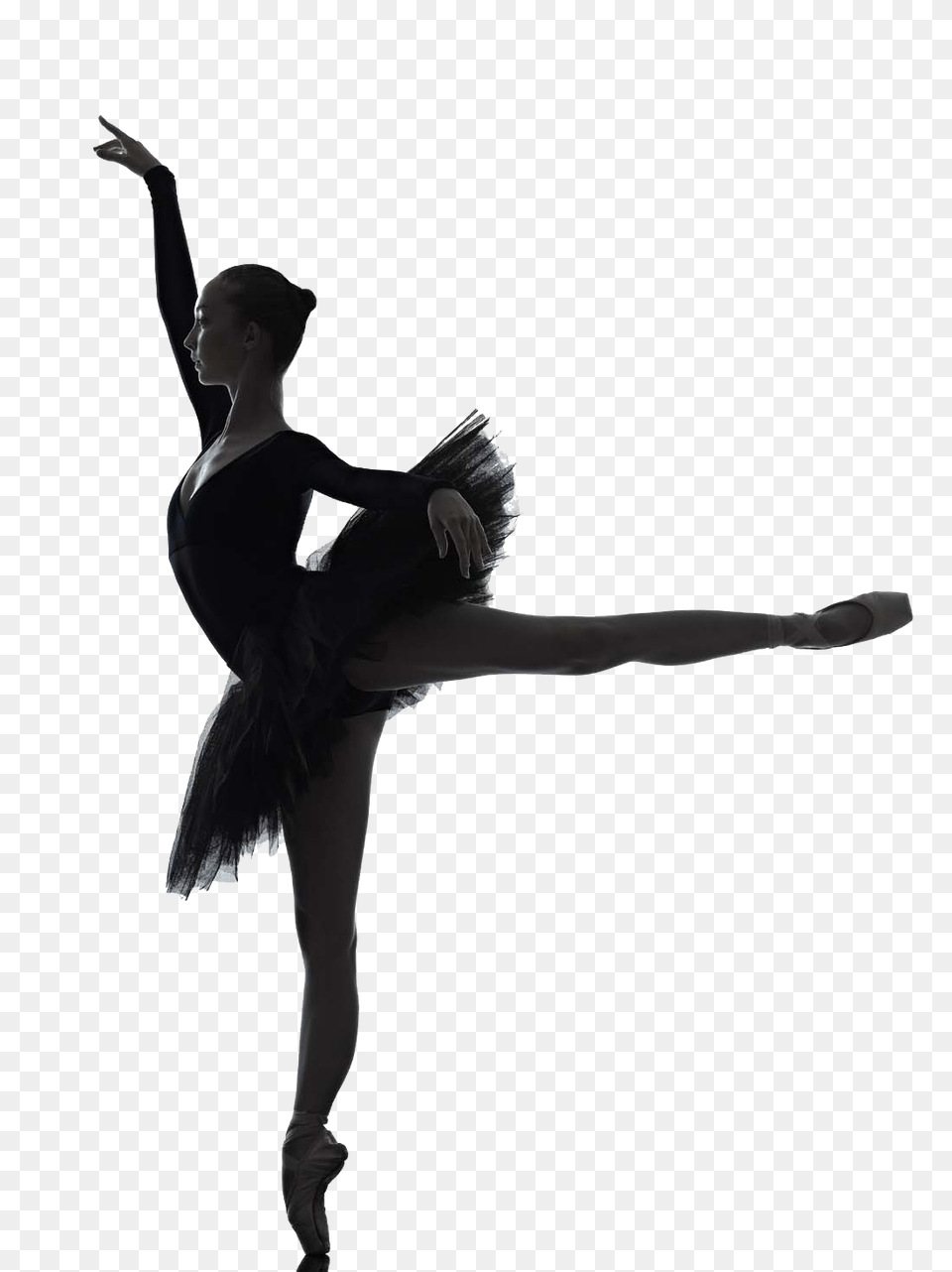 Ballet Dancer, Leisure Activities, Ballerina, Dancing, Person Png Image