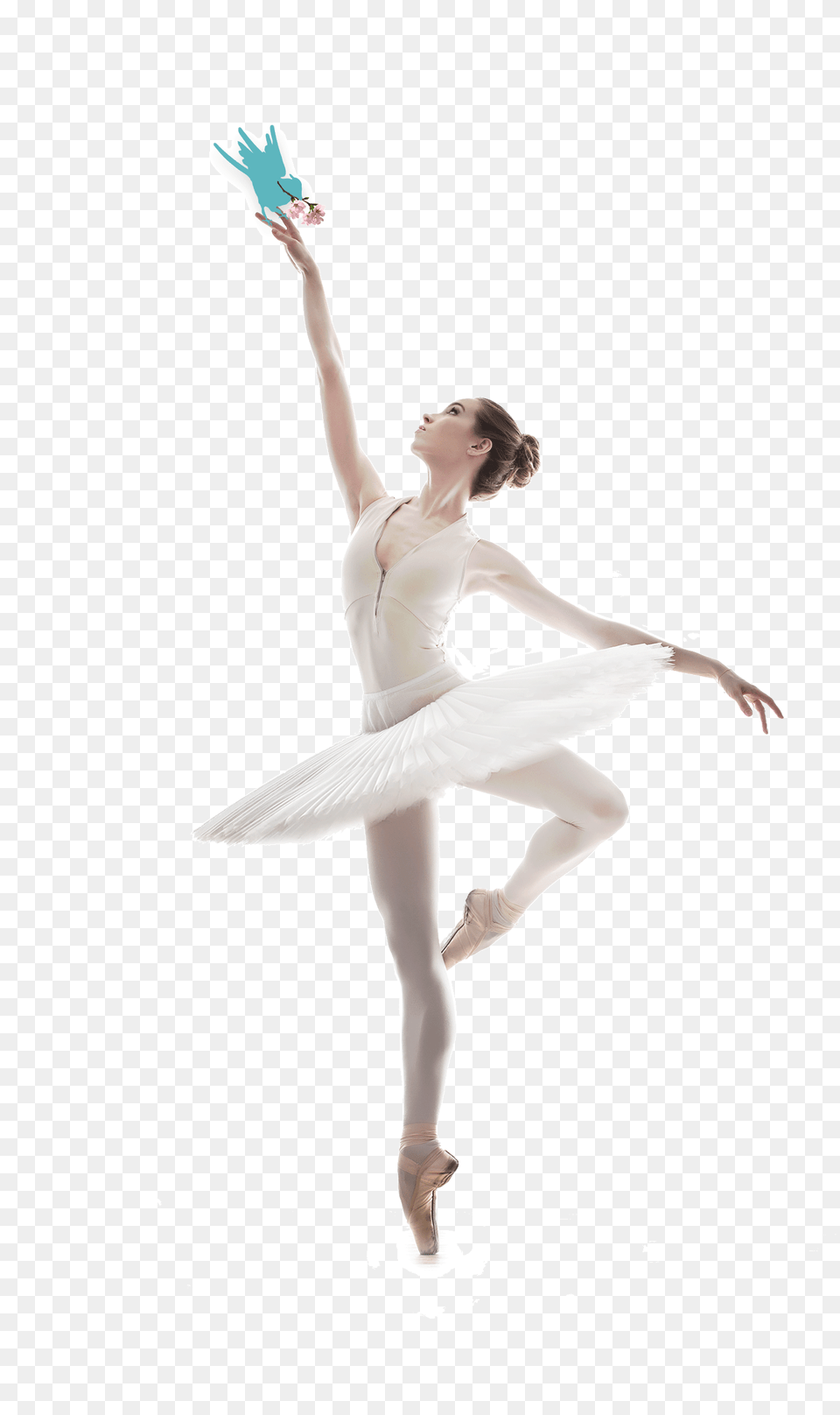 Ballet Dancer, Dancing, Person, Ballerina, Leisure Activities Png Image