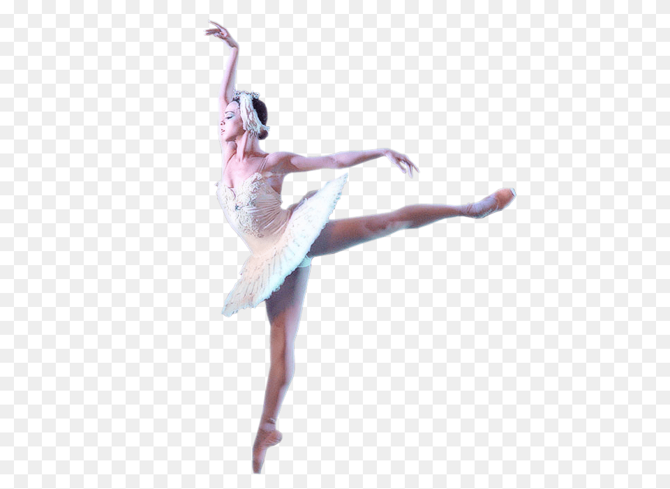 Ballet Dancer, Adult, Person, Leisure Activities, Female Png