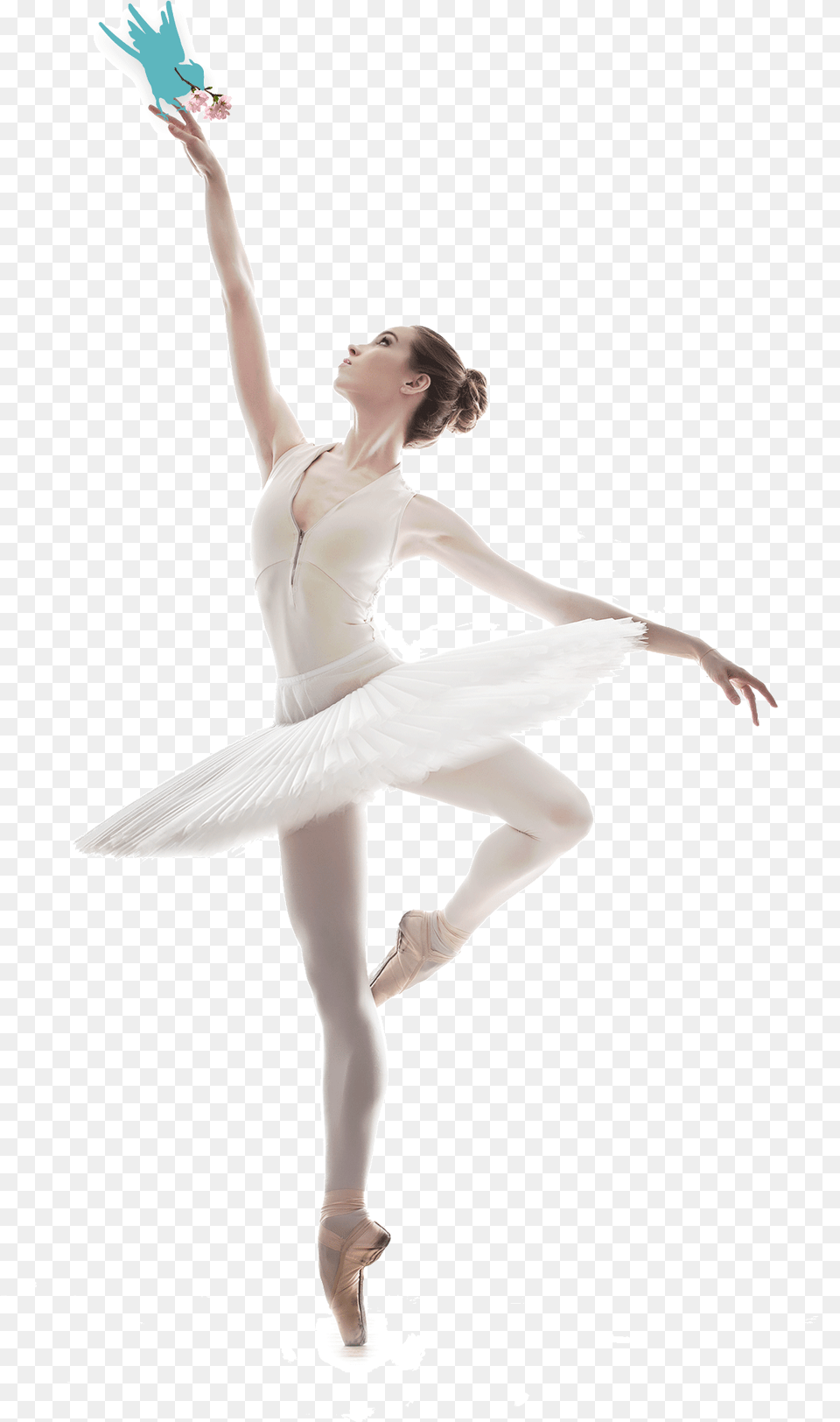 Ballet Dancer Picture Classique Photo De Danse, Ballerina, Person, Dancing, Leisure Activities Png