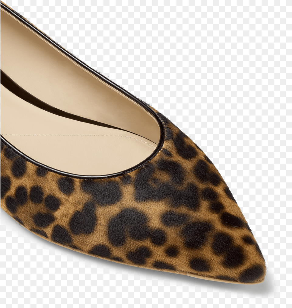 Ballet Flat, Clothing, Footwear, Shoe, High Heel Png Image