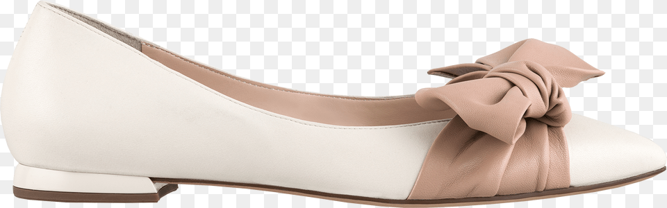 Ballet Flat, Clothing, Footwear, High Heel, Shoe Png