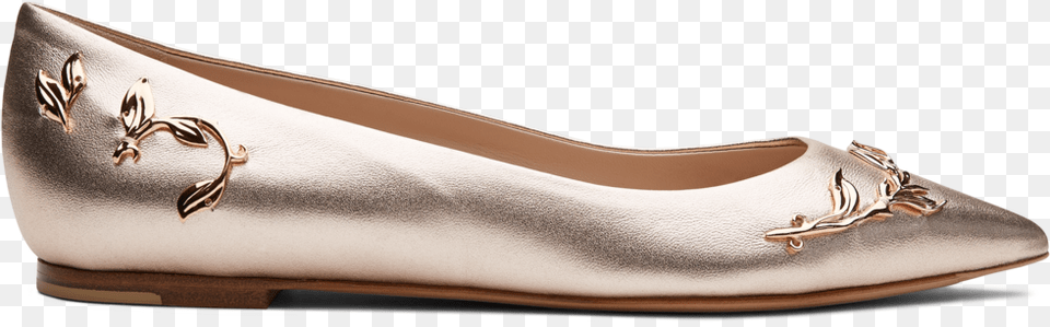 Ballet Flat, Clothing, Footwear, Shoe, High Heel Free Png Download