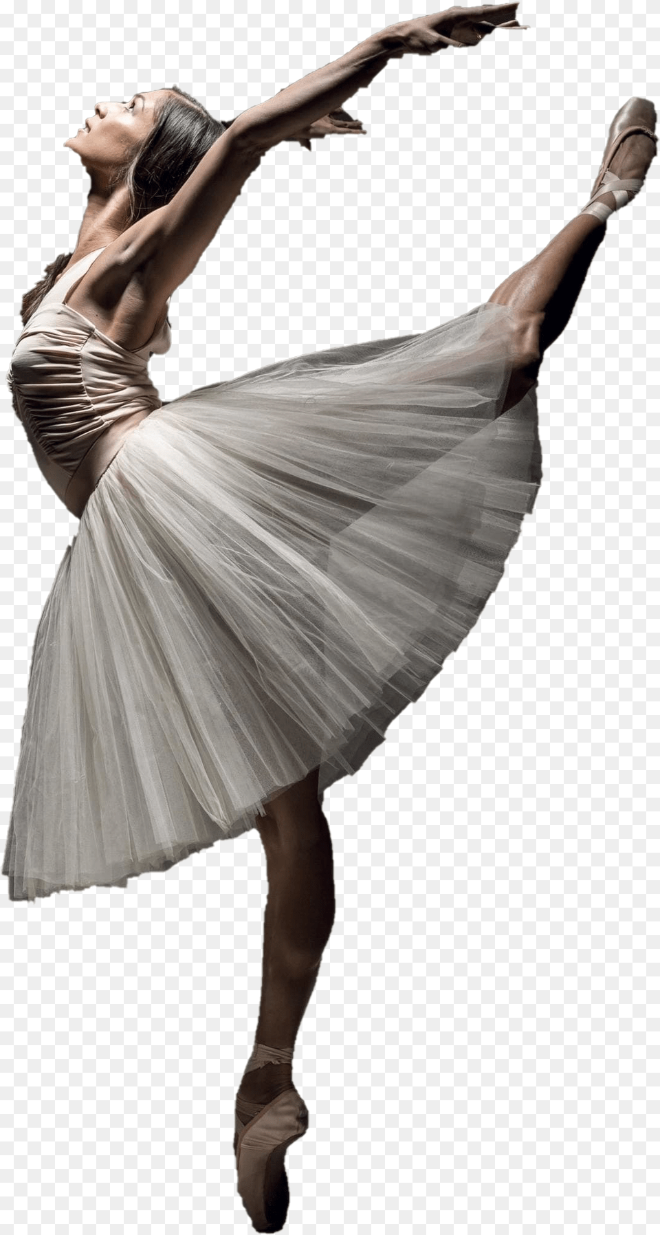 Ballet Adult, Ballerina, Dancing, Female Png Image