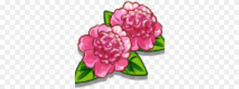 Ballet Queen Flower Farmville Wiki Fandom Artificial Flower, Carnation, Plant, Petal, Dahlia Free Transparent Png