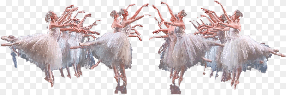 Ballet Swan Lake Image Swan Lake, Ballerina, Dancing, Person, Leisure Activities Png