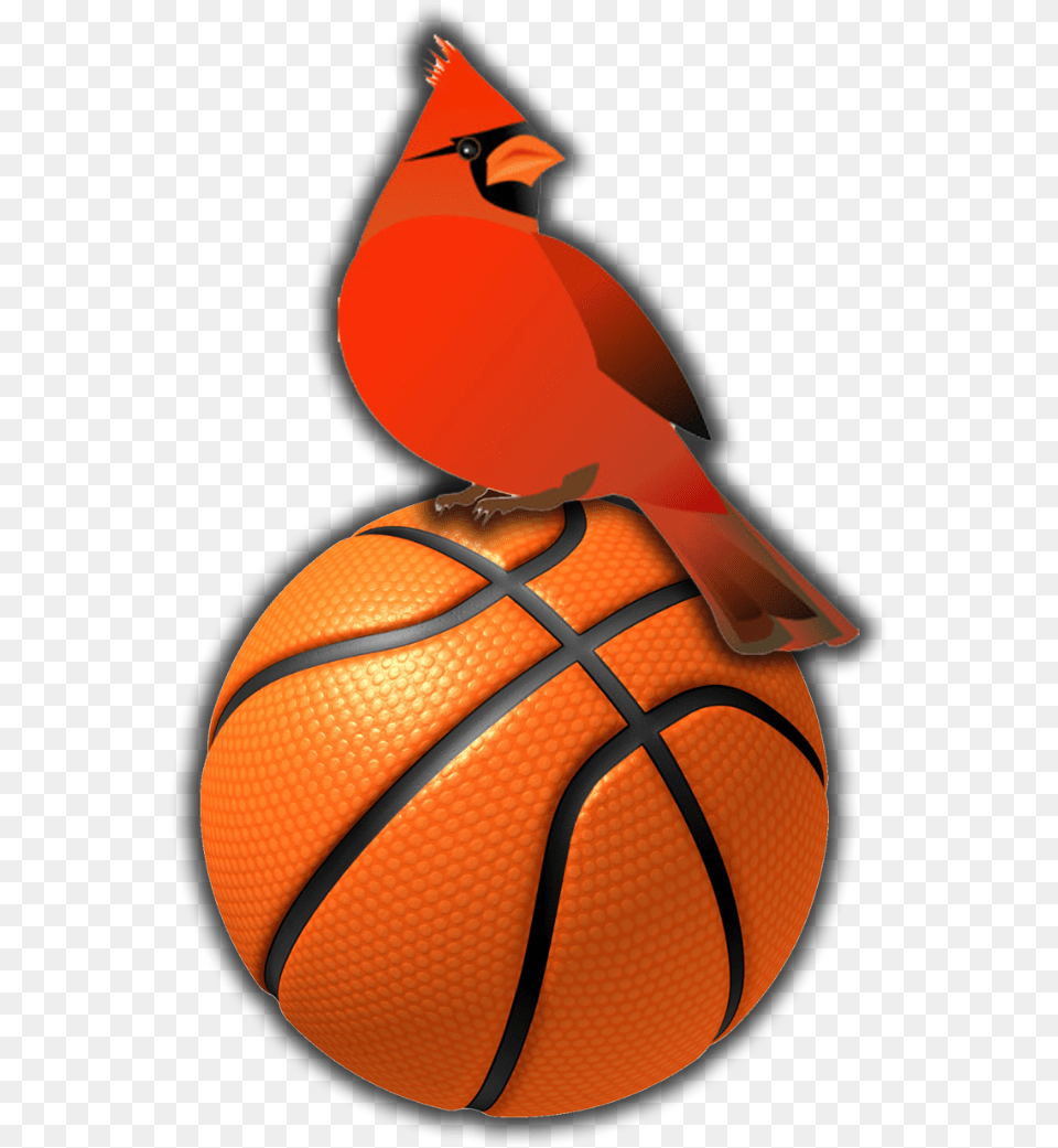 Ballon De Basket Ball, Basketball, Basketball (ball), Sport, Animal Free Png