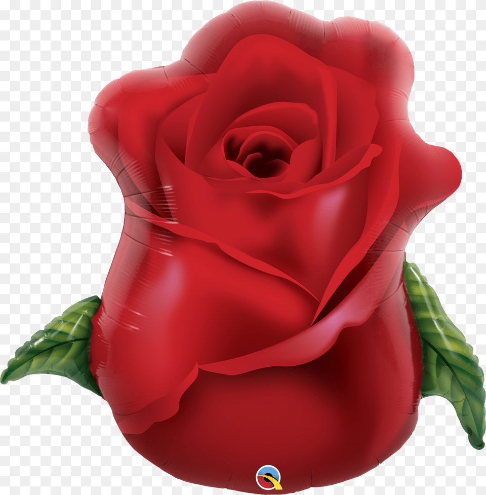 Balloon, Flower, Plant, Rose Png