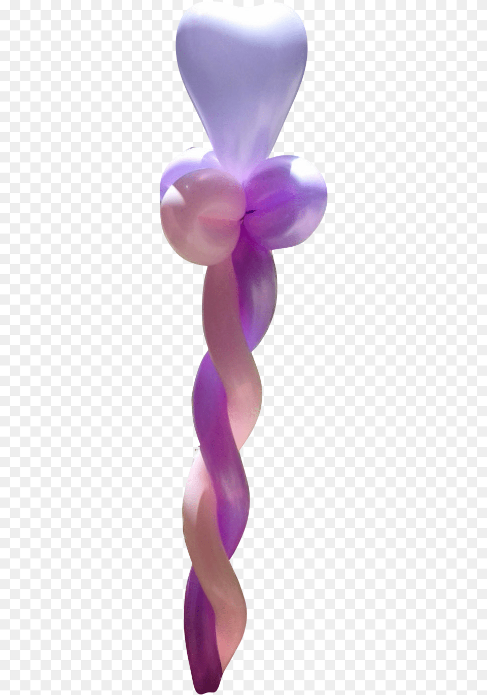 Balloon, Flower, Petal, Plant, Purple Png