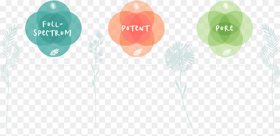Balloon, Grass, Plant, Art, Graphics Free Png
