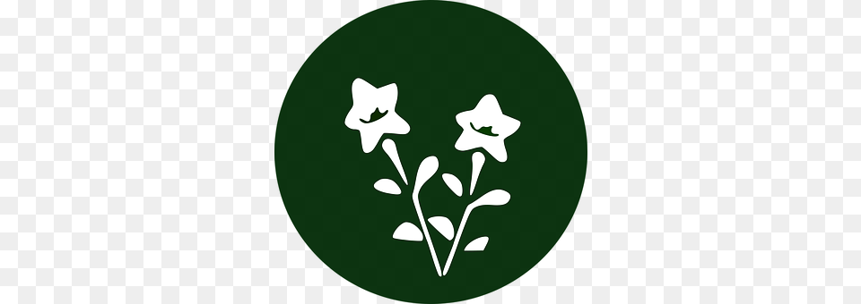 Balloon Flower Leaf, Plant, Stencil, Green Png Image