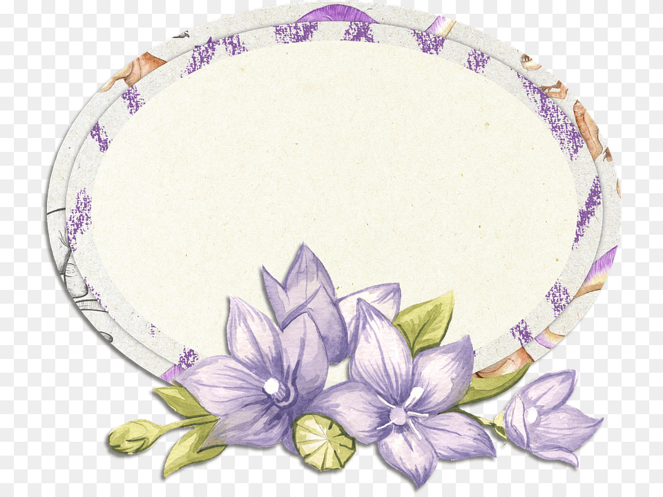Balloon Flower, Dish, Food, Meal, Platter Png