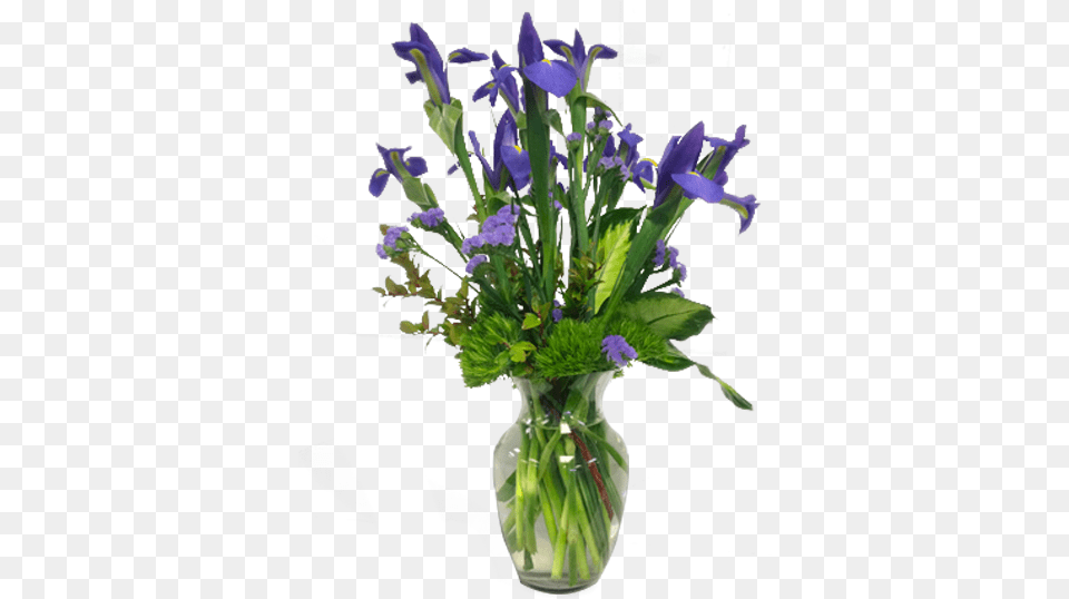 Balloon Flower, Flower Arrangement, Flower Bouquet, Iris, Plant Free Png