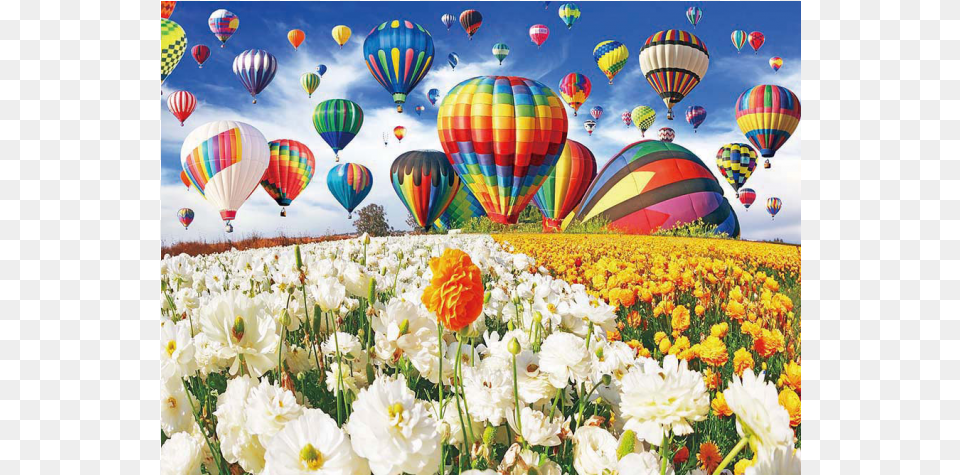 Balloon Flower Field Flower Field With Hot Air Balloons, Landscape, Nature, Outdoors, Aircraft Free Png Download