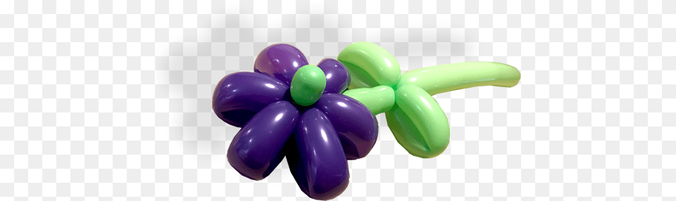 Balloon Modelling The Joker Entertainment Flower, Purple Png Image