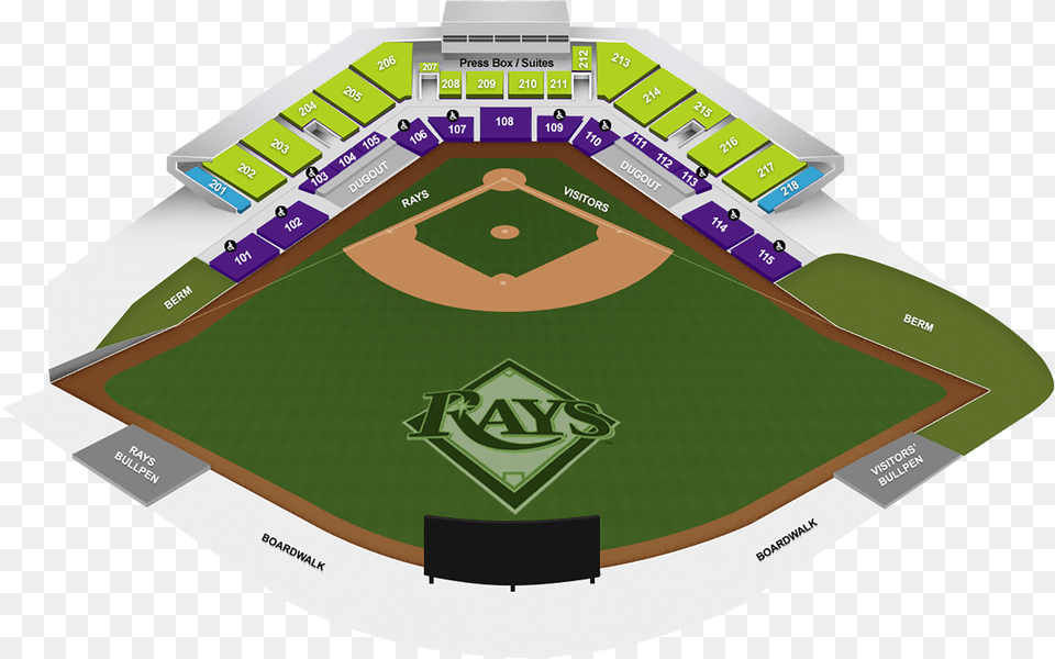 Ballpark Information Tampa Bay Rays Street Grip, People, Person Free Transparent Png