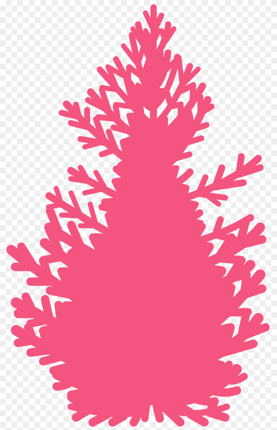Balsam Fir Silhouette, Plant, Tree, Christmas, Christmas Decorations Free Png