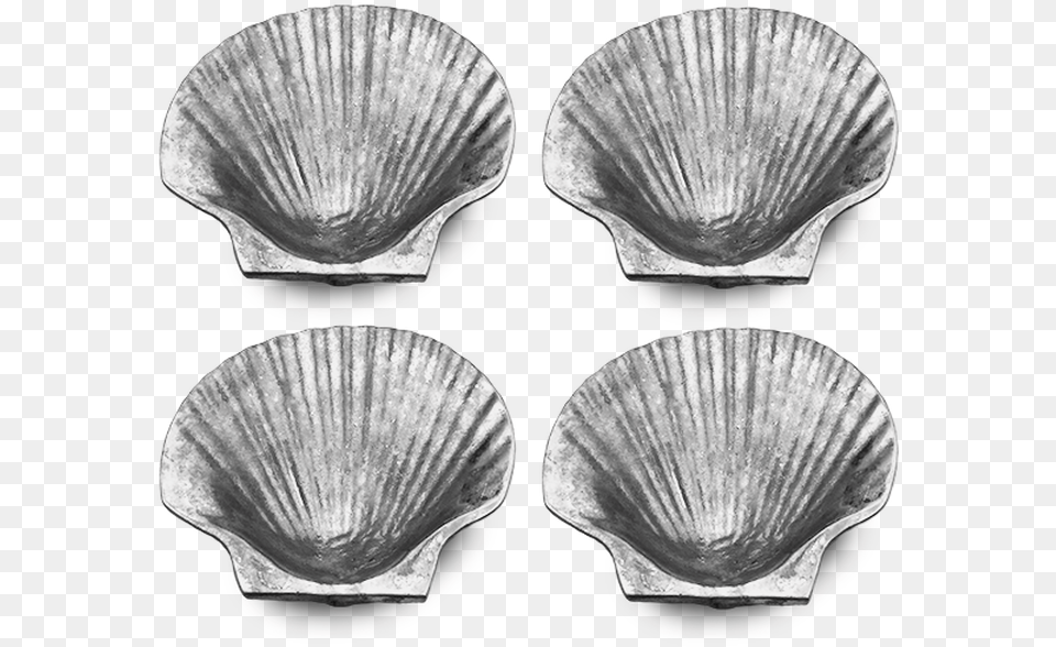 Baltic Clam, Animal, Food, Invertebrate, Sea Life Free Transparent Png