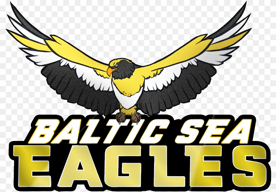 Balticseaeagles Golden Eagle, Animal, Bird, Flying, Beak Free Png Download