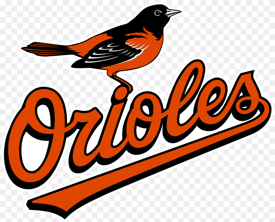 Baltimore Orioles, Animal, Bird, Finch, Logo Free Png Download