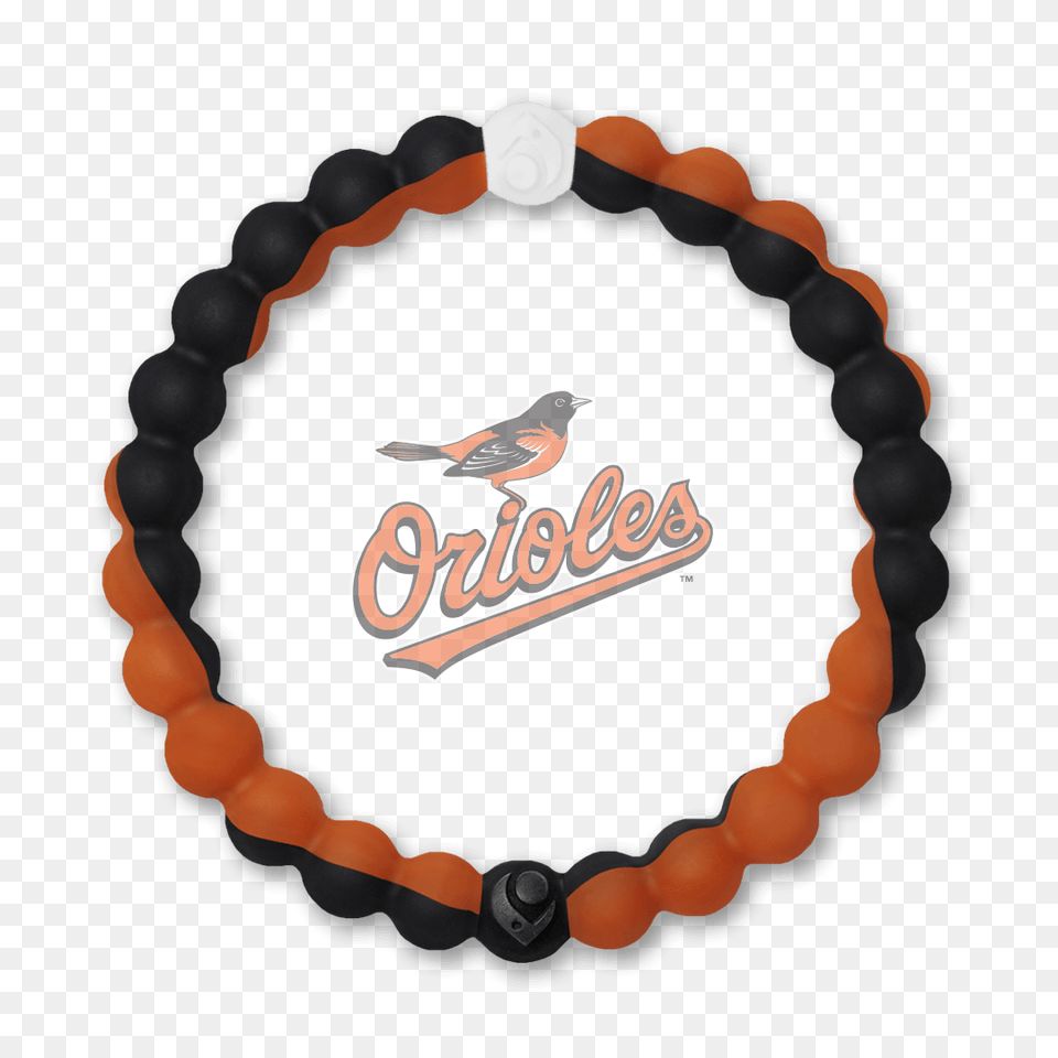 Baltimore Orioles Bracelet Lokai X Mlb, Accessories, Jewelry, Animal, Bird Free Png Download