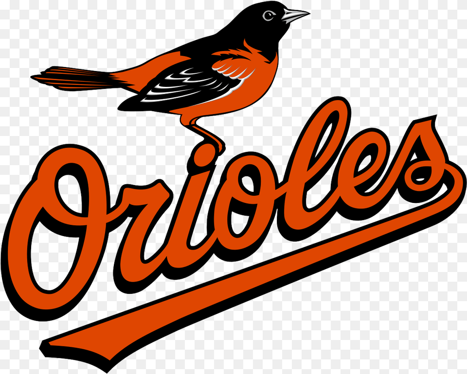 Baltimore Orioles Logo And Symbol Baltimore Orioles Logo, Animal, Bird, Finch, Text Png