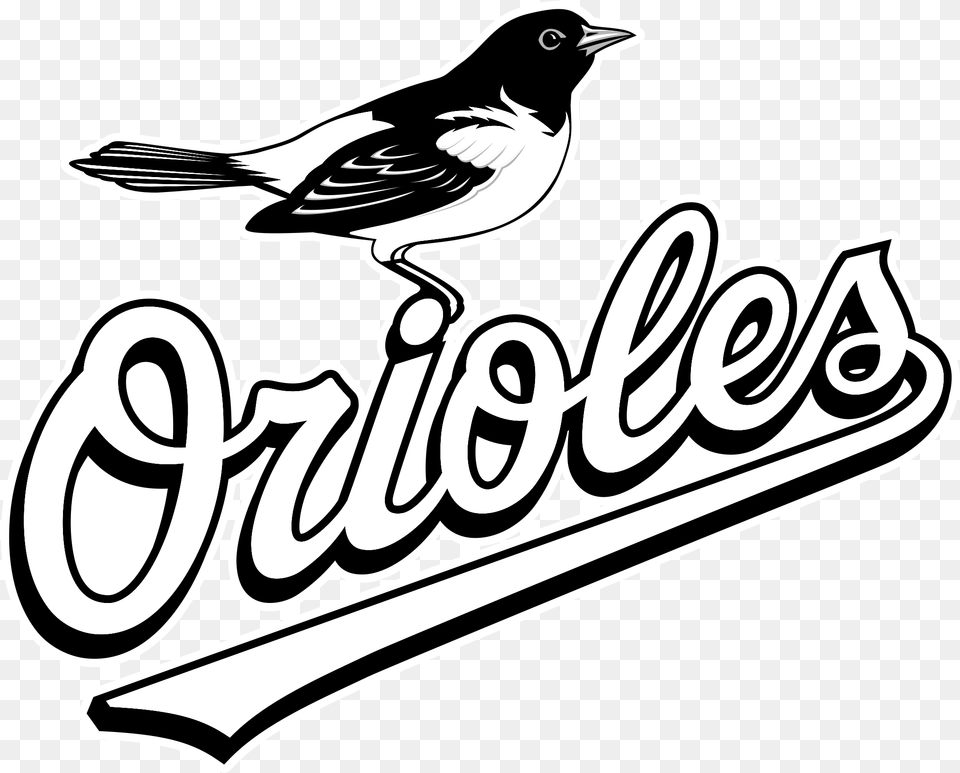 Baltimore Orioles Logo Black And White Baltimore Orioles, Animal, Bird, Text Free Transparent Png